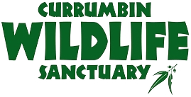 Currumbin Wildlife Sanctuary